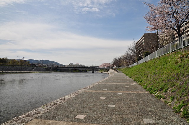 京都・鴨川沿いの風景