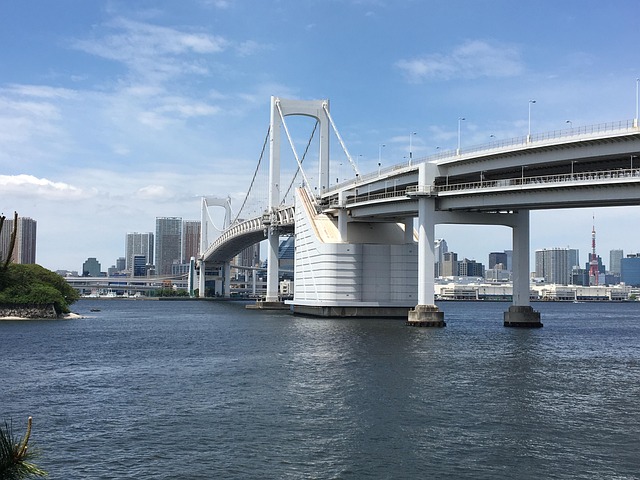 東京湾に架かる橋と街並み