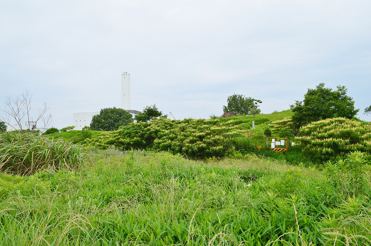 和泉黄金塚古墳の墳丘