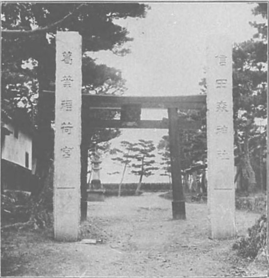 古い写真帖に収められた「信田の森(泉北郡信太村)」の石柱と鳥居