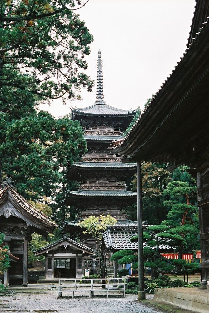 鶴岡市の善寳寺にある五重塔。木々に囲まれて立つ