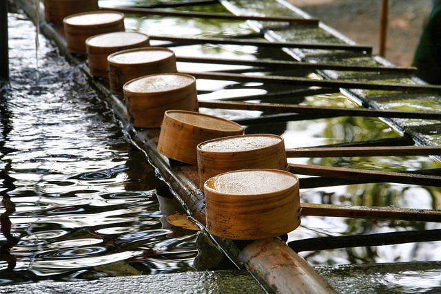 神社の手水舎、参拝文化の象徴
